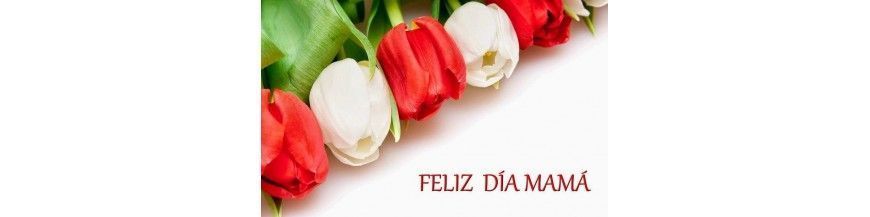 DIA DE LA MADRE